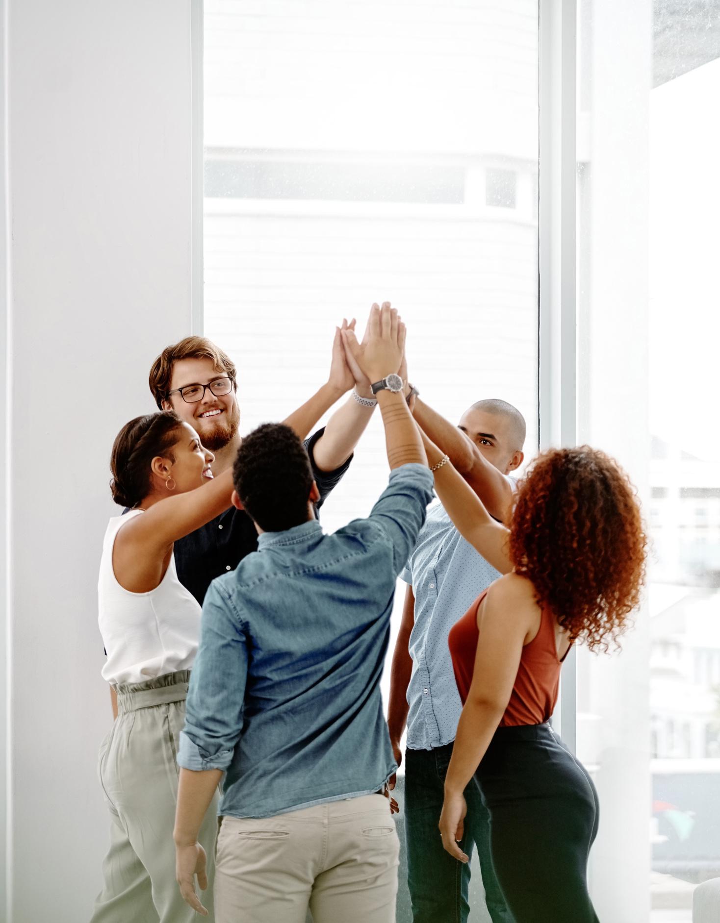 K. Kameswara Rao - CEO